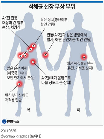 <그래픽> 석해균 선장 부상 부위