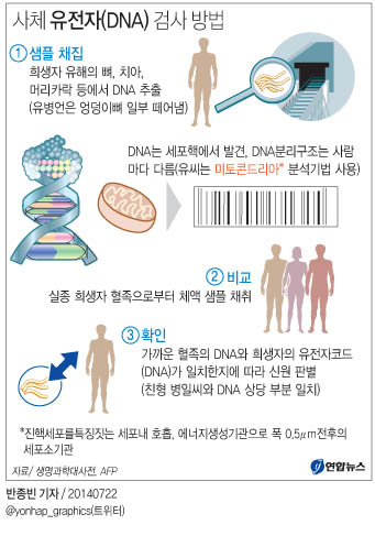 <그래픽> 사체 유전자(DNA) 검사 방법