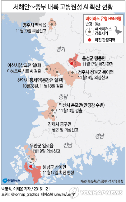 "참새 드나들 틈도 안돼"…AI 초고속 확산에 전국서 방역 비상 - 2