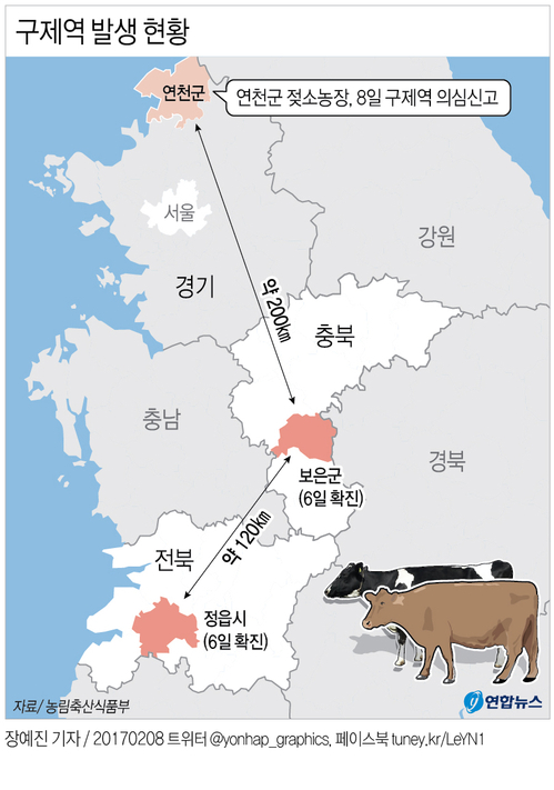 [그래픽] 연천서 구제역 양성 반응…수도권 첫 사례