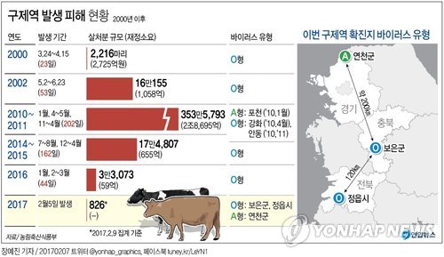 구제역 A·O형 동시발생, 방역 대혼란…보유백신 A형효과 불확실(종합) - 5