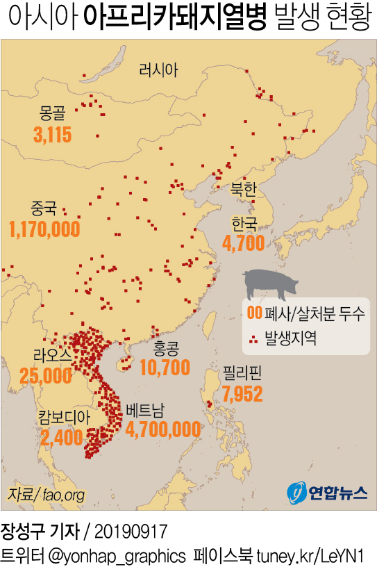 [그래픽] 아시아 아프리카돼지열병(ASF) 발생 현황