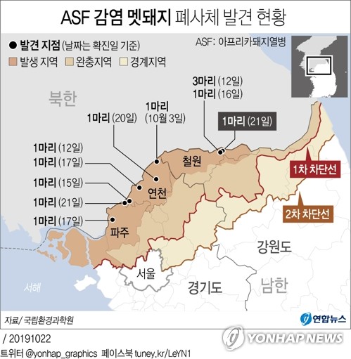 철원 민통선 내 멧돼지서 돼지열병 바이러스 검출…총 12건 - 2
