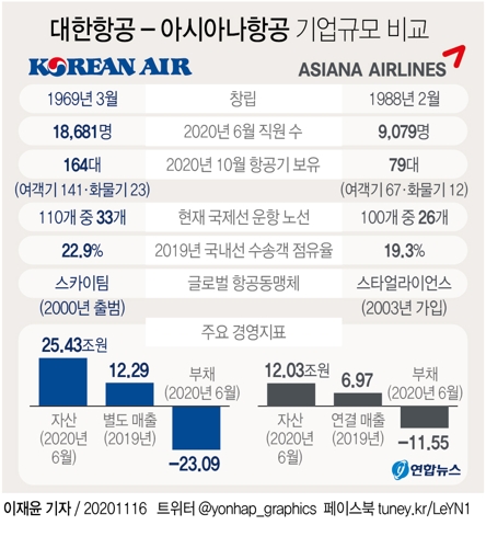 대한항공·아시아나 통합 국적항공사 출범…산은 8천억 투입(종합3보) - 5