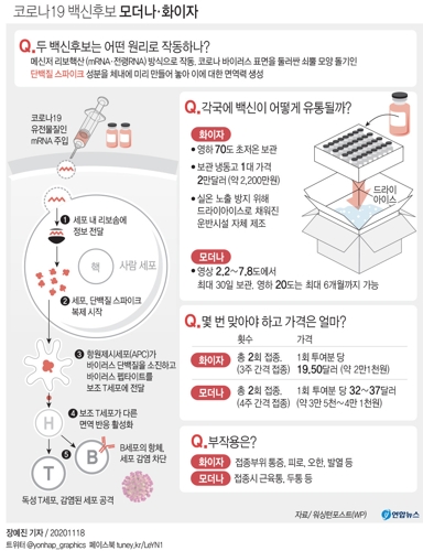 모더나 이어 화이자도 "코로나 백신 95% 면역효과"…최종 결과(종합) - 3