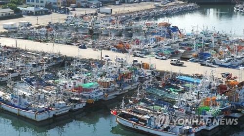Hundreds of fishing vessels lie at anchor at a port on Jeju Island on Aug. 25, as Typhoon Bavi approaches the Korean Peninsula. (Yonhap)