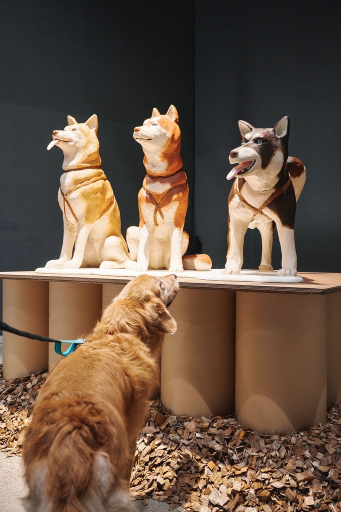 This photo provided by MMCA on Sept 21, 2020, shows "Togo and Balto," a sculpture piece by Chung Yeon-doo, featured at a special canine-themed exhibition titled "A Museum For All, A Museum For Dogs" at the museum's gallery in Seoul. (PHOTO NOT FOR SALE) (Yonhap)