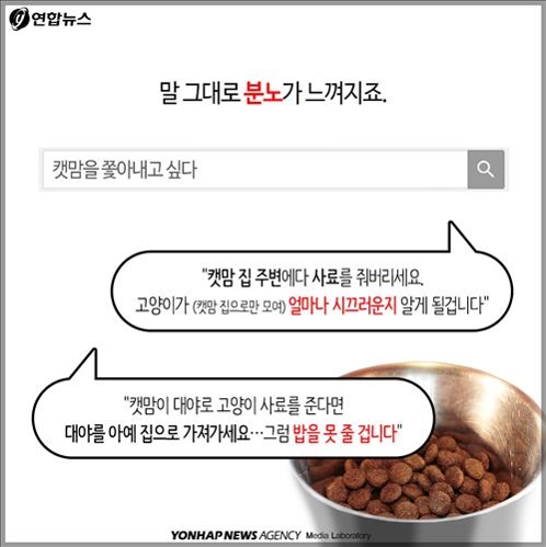 <카드뉴스> "민폐 동물에 왜 먹이 주나요"…캣맘 두고 갑론을박 - 8