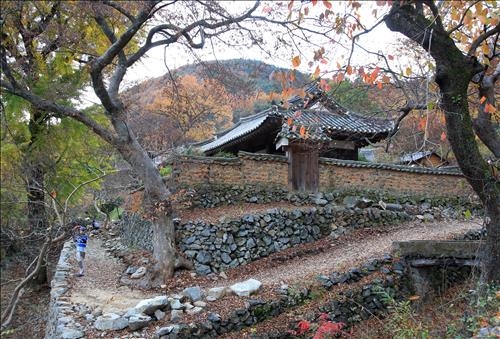 밀양강 따라 영남루 지나…"아리랑길 좀 보소" - 3