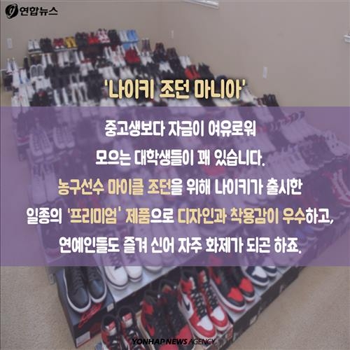 <카드뉴스> "소유한다,고로 존재한다"…'포미족'이 사는 법 - 11