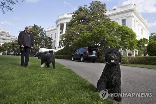 '강아지파' 오바마·'고양이파' 차이잉원…정상들의 반려동물 - 2