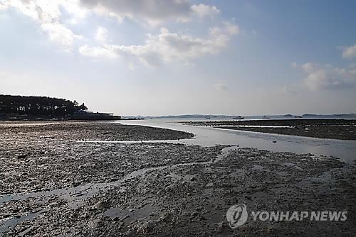'바다 그린벨트' 수산자원보호구역 환경 전면조사(종합) - 2
