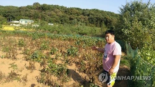 가뭄으로 모내기 못한 농민 피해보상 받는다 - 2