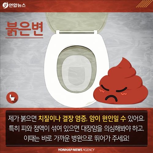 <카드뉴스> '큰일' 봤으면 확인은 필수…변 보면 건강 보인다 - 5