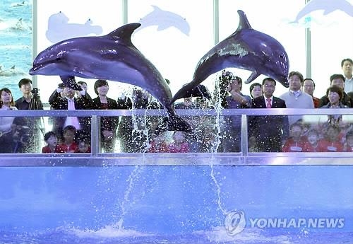 <주목! 이 조례> '울산은 고래다' 전국 유일 고래박물관 조례 - 2