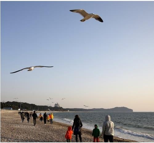 안면도 꽃지해수욕장 '침식 심각'…관리구역 지정 검토 - 3