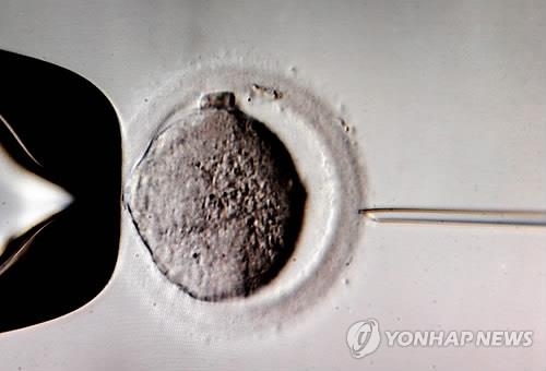 美과학자 "체외수정 출산은 '진화실험'과 다름없다" 주장 - 2