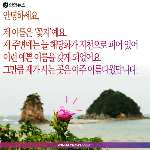 <카드뉴스> '꽃지의 경고', 그 많던 모래는 누가 가져갔을까 - 3