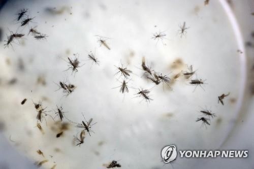 "지카바이러스 등 전염병 창궐은 지구온난화에 대한 경고" - 3