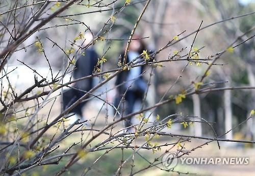 충북 추위 낮부터 풀려…사흘째 건조특보 - 2