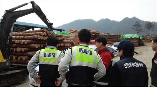 소나무류 땔감 사용농가 집중 점검…재선충병 차단 - 3