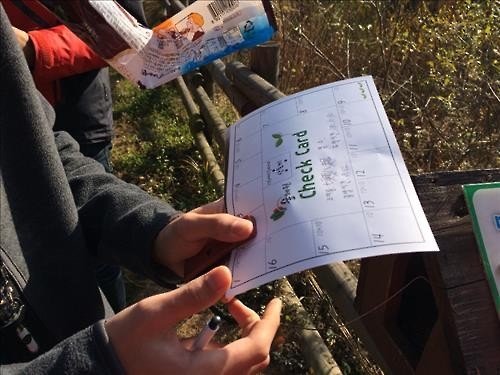 "숲 교육 보호관찰 청소년 정서치료에 효과" - 3