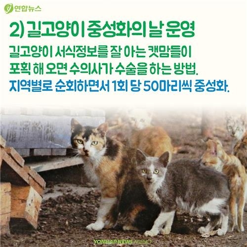 <카드뉴스> "나 수술받는다, 냥!"…길고양이의 서울살이 애환 - 8