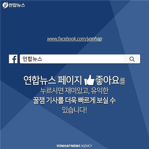 <카드뉴스> "나 수술받는다, 냥!"…길고양이의 서울살이 애환 - 13