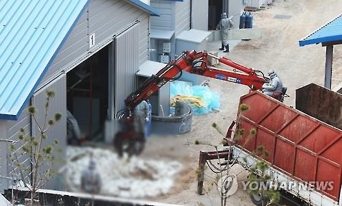 오리 1만1천여마리 살처분…AI 발생 이천시 확산 저지 총력 - 3