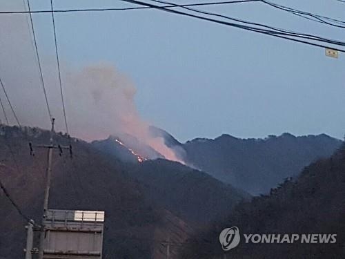 단양 소백산서 대형 산불 확산…인근 주민 긴급대피(종합) - 2