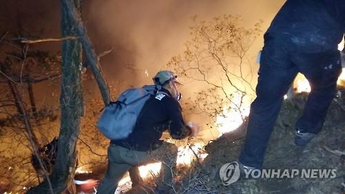소백산 화재 진압 '악전고투'…완전진화까지 27시간 걸려(종합2보) - 2