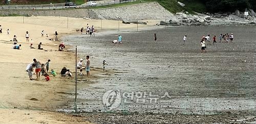 하수 흘러든 강화갯벌…오염 막으려 논문 쓴 고교생들 - 2