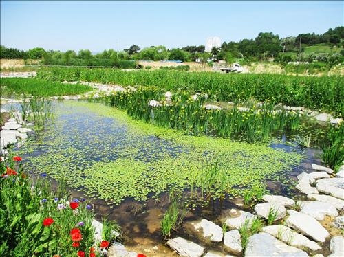 금강상류 부여 왕포천 생태하천 탈바꿈…복원사업 준공 - 2