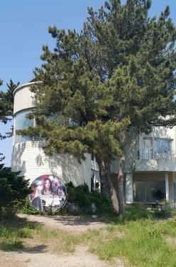 <가고 싶은 섬> 옹진 장봉도…아늑한 '형제섬' 신도·시도·모도 - 5