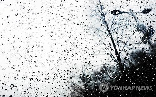 찌뿌둥한 날씨에도 충북 주요 유원지 '활기' - 2