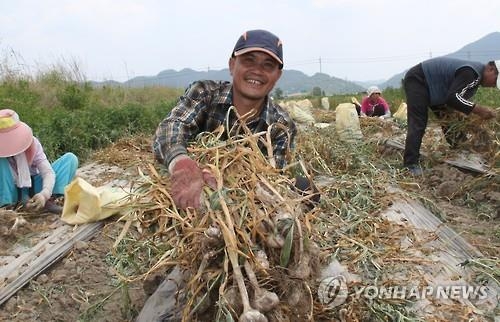 <최재석의 동행> "사장님, 나빠요" - 5