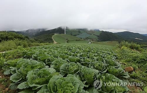 강원도 '우수농산물 인증면적' 2020년까지 50%로 확대 - 2