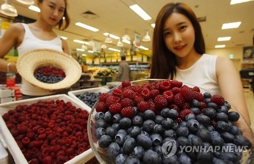 '너도나도 심은' 블루베리 물량넘쳐 고가는 '옛말' - 2