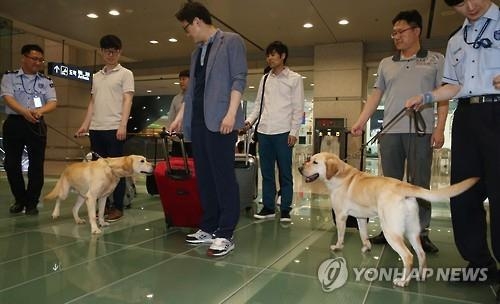 필로폰 밀반입 작년보다 124%↑…인천세관 마약퇴치 행사 - 2