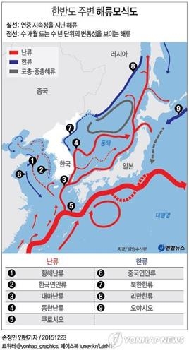 제주 바다생물 "너무 추워 못살겠어요"…2년새 수온 1도 급락(종합) - 5