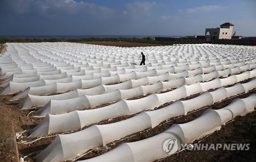 이스라엘, 국제구호단체 월드비전 가자지구 지부장 체포 - 2