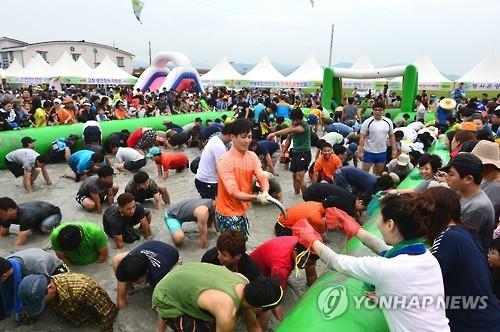 <카메라뉴스> "신나는 고창 갯벌로 오세요" - 3