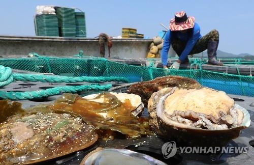 폭염 광주·전남 어류·가축 폐사 확산…녹조·적조도 기승 - 2