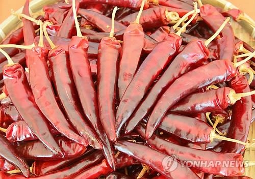 고창서 27∼28일 '해풍고추 축제'…직거래장터 운영 - 2