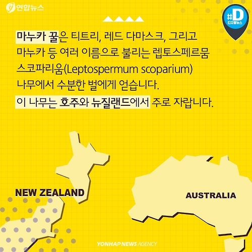 <카드뉴스> 마누카 허니, 뉴질랜드의 것이어야만 허니(honey)? - 8