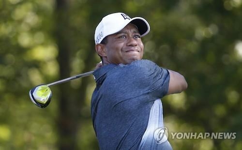 타이거 우즈 (AP=연합뉴스)