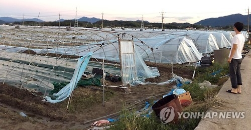 파손된 비닐하우스