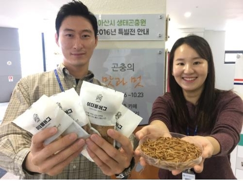 곤충쿠키 맛보세요