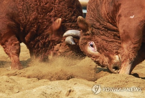 <주말 N 여행> 충청권: 200년 전통 '강경 젓갈' 김장 앞둔 주부들 유혹 - 2