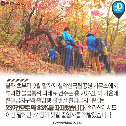 <카드뉴스> 불법 채취, 스릴 산행…가을 등산 문화의 현주소 - 9